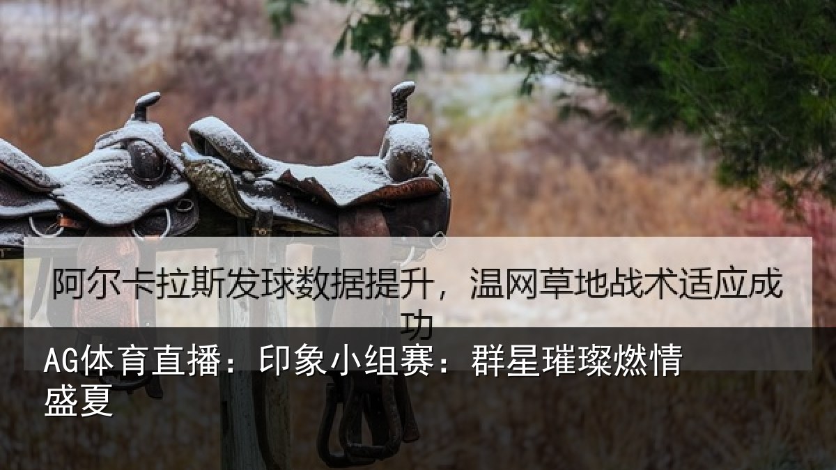 AG体育直播:印象小组赛:群星璀璨燃情盛夏