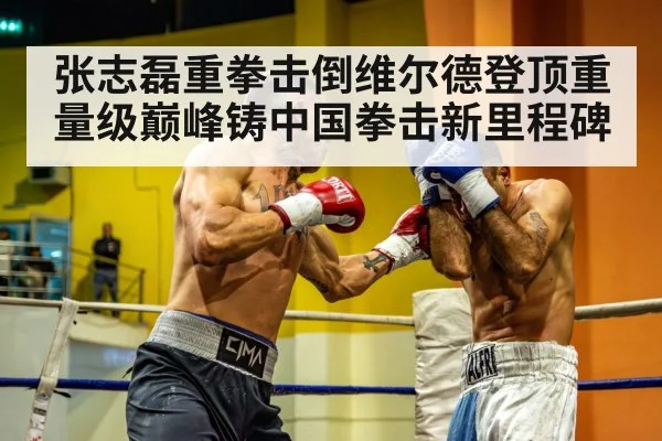 张志磊重拳击倒维尔德登顶重量级巅峰铸中国拳击新里程碑